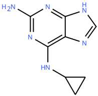 Cyclopropyl Diamino Purine Abacavir