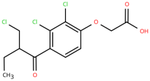 Ethacrynic Acid Impurity B
