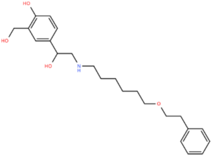 Salmeterol EP Impurity B