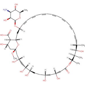 Amphotericin B EP Impurity B